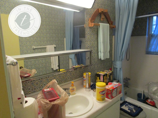 bathroom-before-2