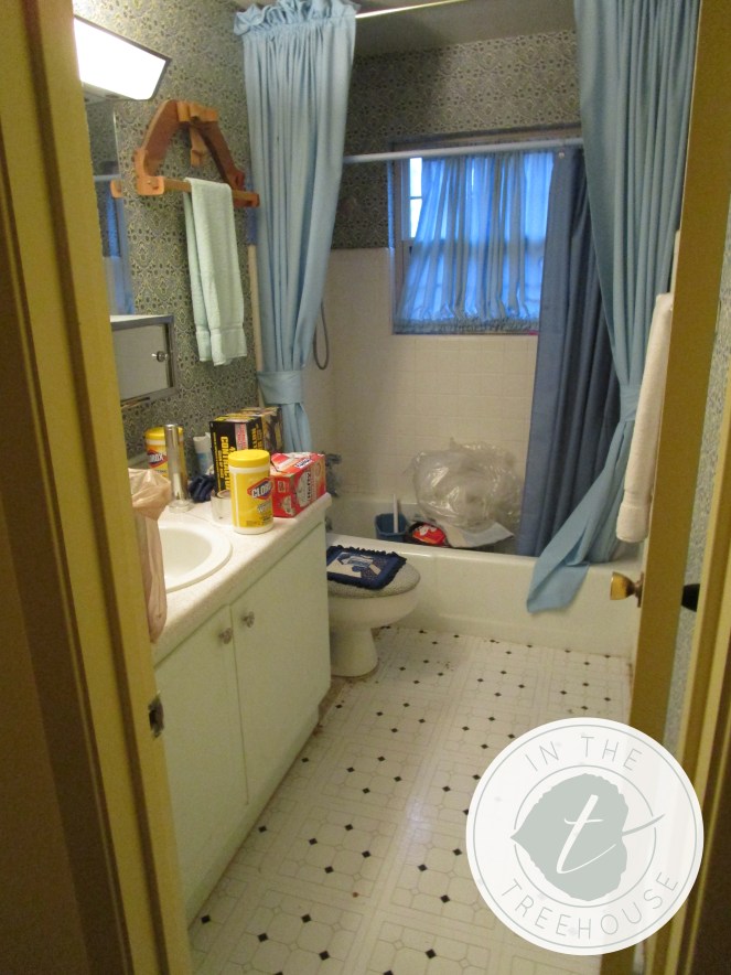 bathroom-before